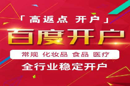 百度推广的投放策略与效果分析